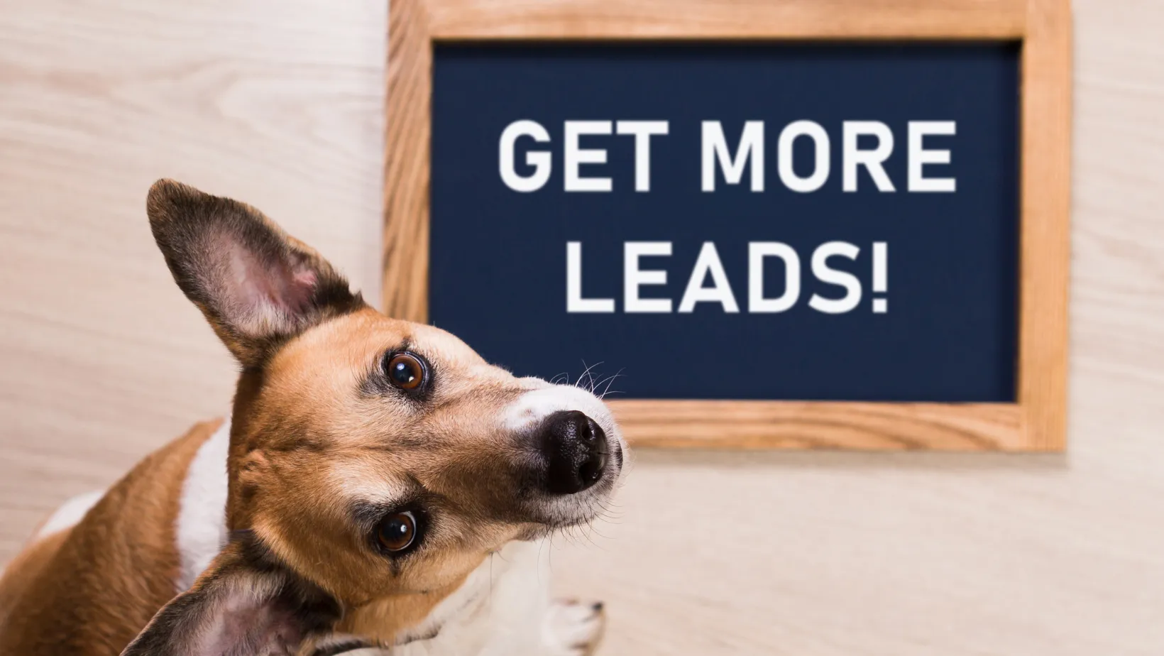 A dog beside a sign that reads Get More Leads
