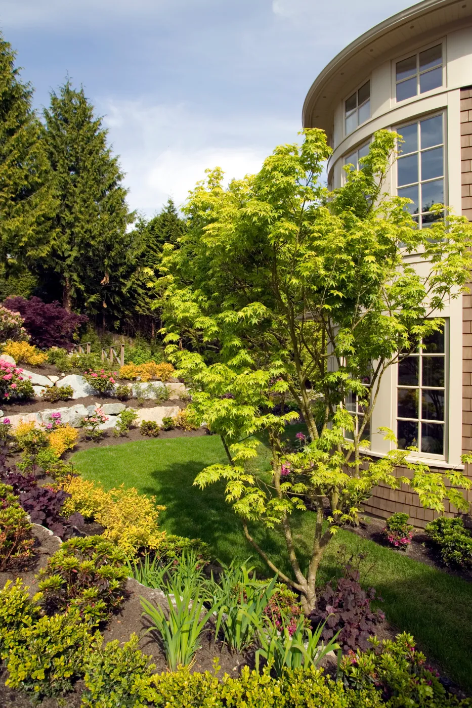 Landscaping professional reviewing a residential yard project.